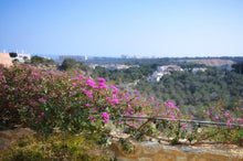 Load image into Gallery viewer, #213 2 Bed / 2 Bathroom True South Facing! Apartment – Las Ramblas Golf