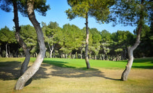 Load image into Gallery viewer, #213 2 Bed / 2 Bathroom True South Facing! Apartment – Las Ramblas Golf