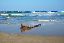 Load image into Gallery viewer, #31 &quot;South Facing&quot; 2 Bed / 2 Bathroom Ground Floor Apt - Area Beach III - EL Raso