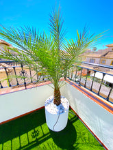 Load image into Gallery viewer, "South Facing" #14 2 Bed / 1.5 Bathroom Quad Villa - La / Zenia Cabo Roig