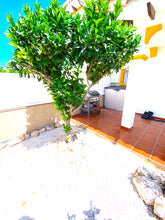 Load image into Gallery viewer, "South Facing" #14 2 Bed / 1.5 Bathroom Quad Villa - La / Zenia Cabo Roig