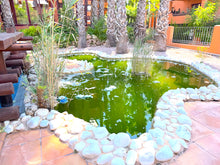 Load image into Gallery viewer, #212 2 Bed / 2 Bath 1st Floor Apartment - Villamartin