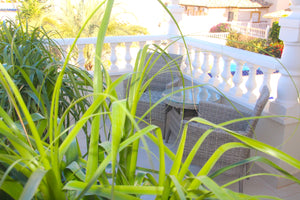 2 Bed / 2 Bathroom Villa - Private Pool - Cabo Roig